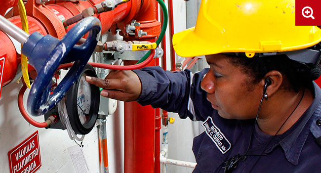 Departamento de Gestión de Riesgo Contra Incendio y Seguridad Humana.