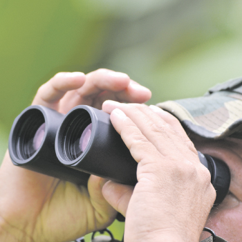 Aves - Colombia te tengo el plan - El País