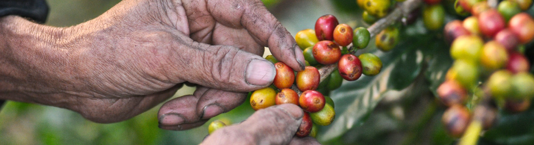 Colombia te tengo el plan - El País