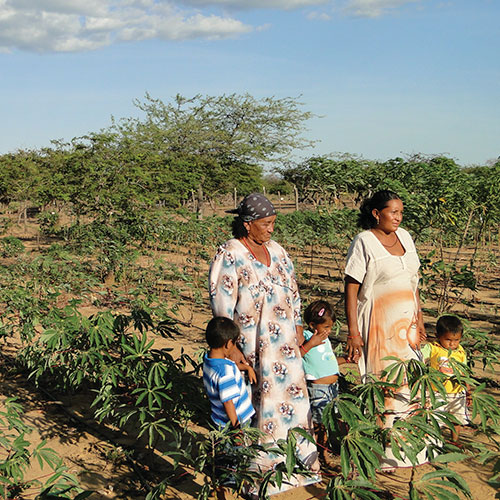 donaciones del sector empresarial para apoyar la entrega de mercados a familias vulnerables