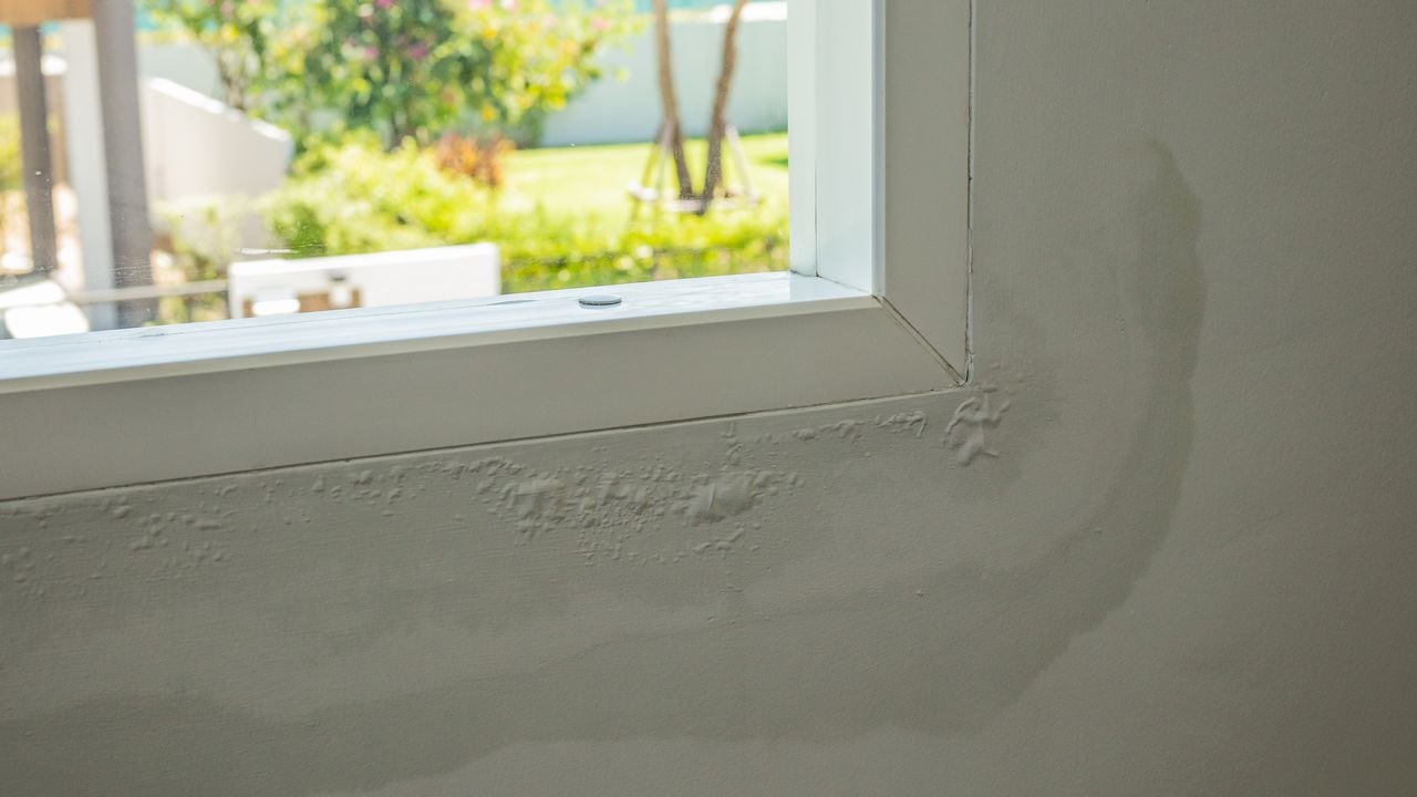 Cómo quitar la humedad de la pared: elimina fácil el problema para