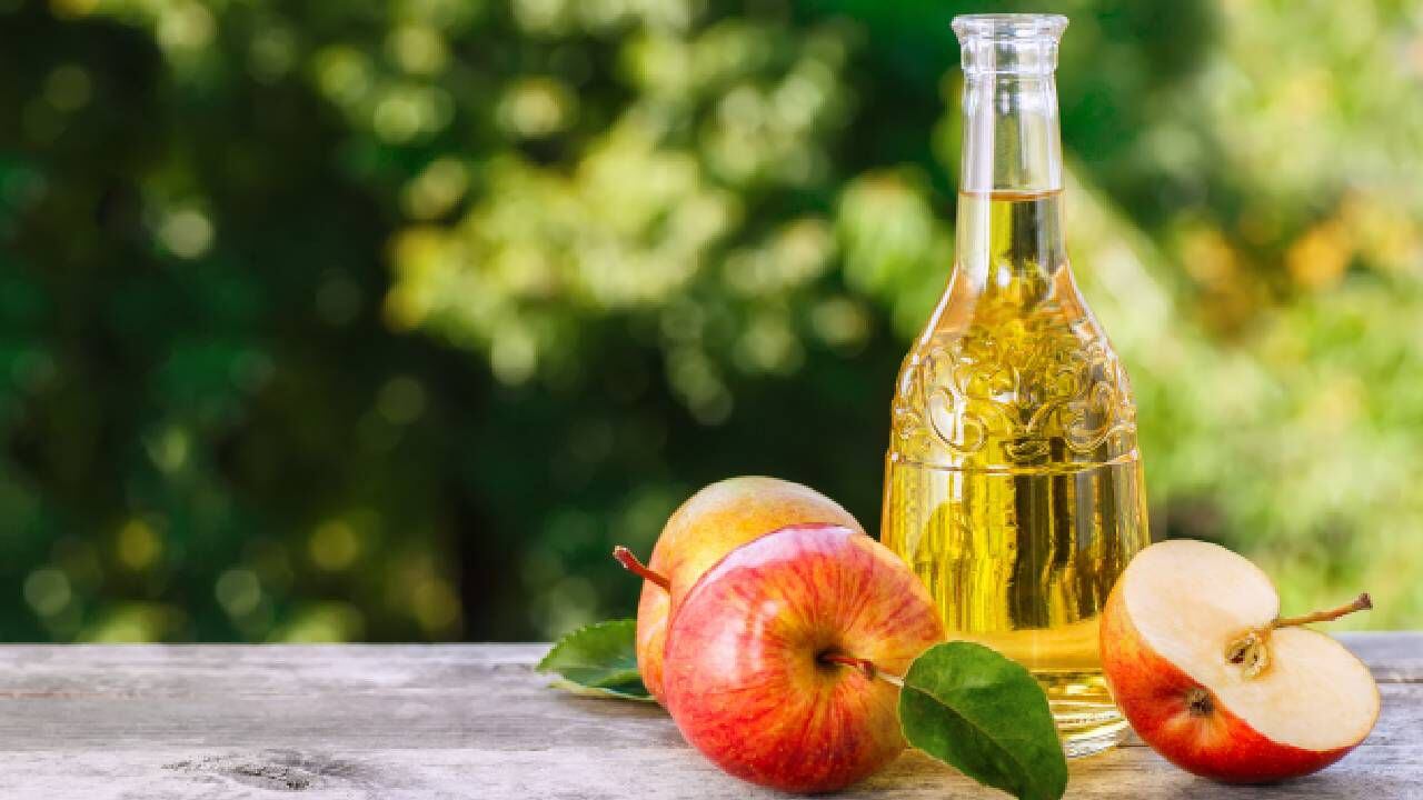 pueden los perros beber vinagre de sidra de manzana