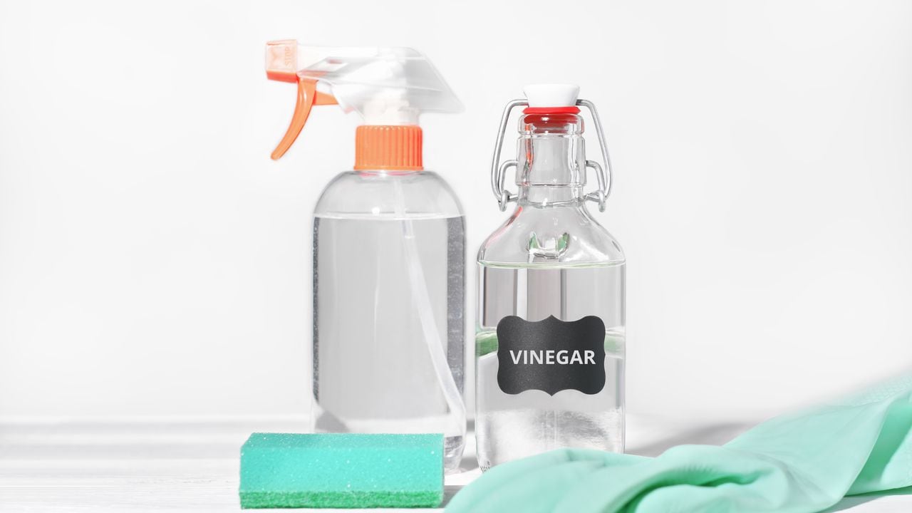 Vinagre de limpieza: esto es lo que puedes limpiar con este producto natural