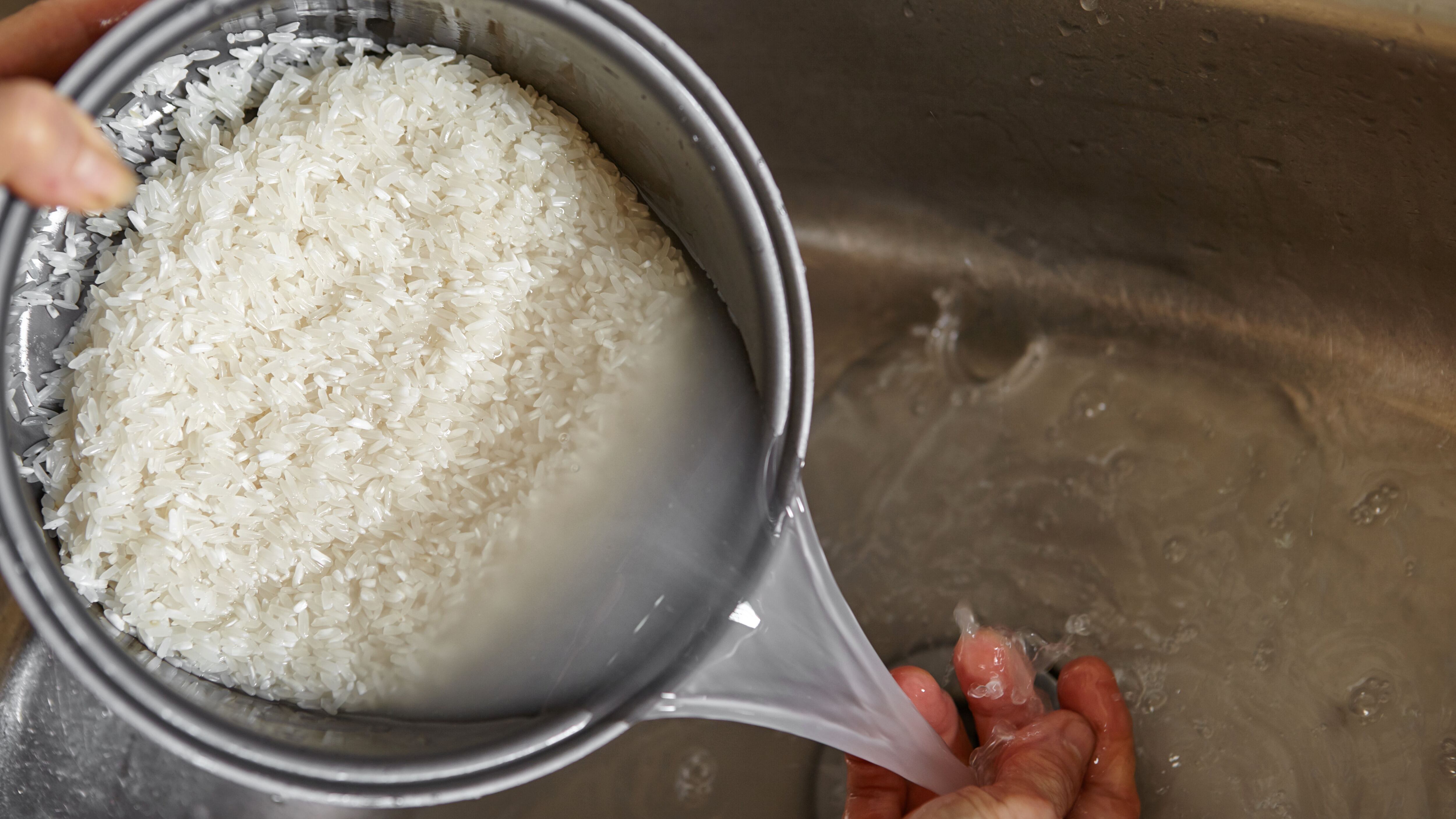 los perros pueden comer arroz mexicano