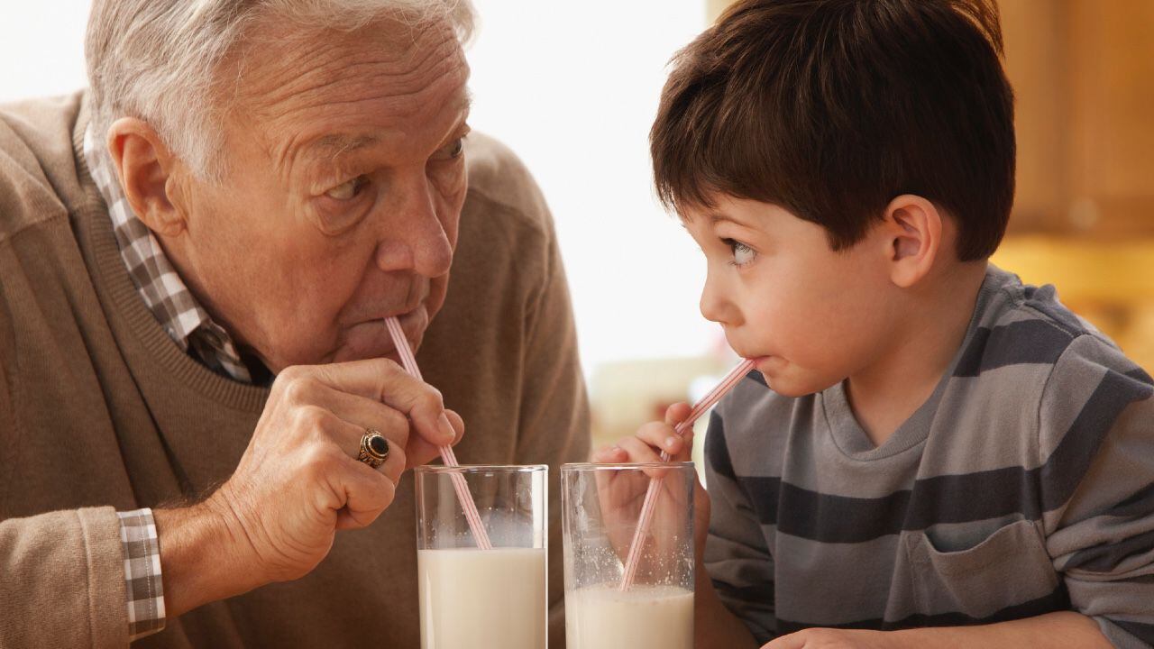 Por qué somos la única especie que toma leche en la edad adulta? - Todo El  Campo