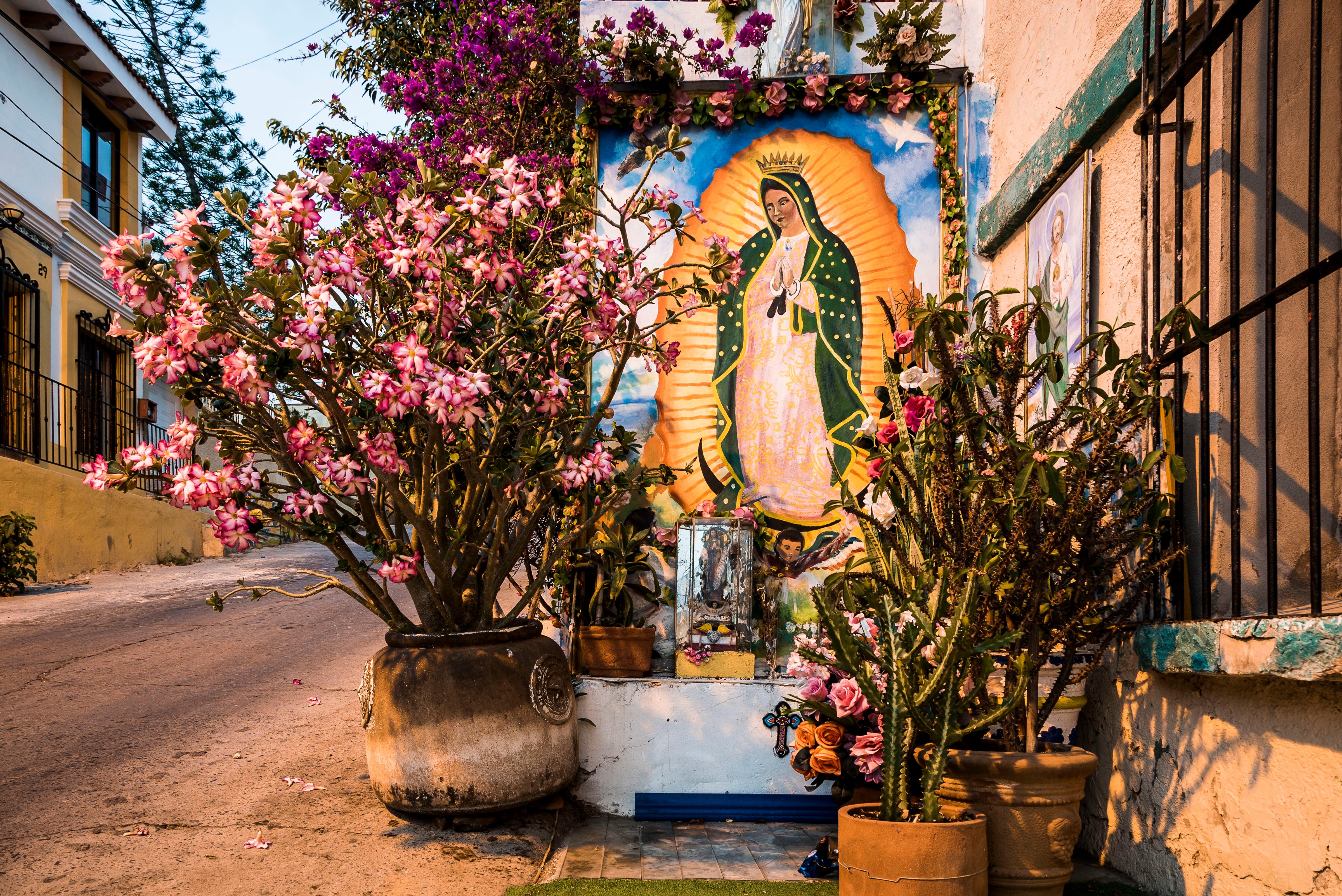 La Virgen de Guadalupe en Colombia: celebraciones y rituales populares -  Religión - Vida 