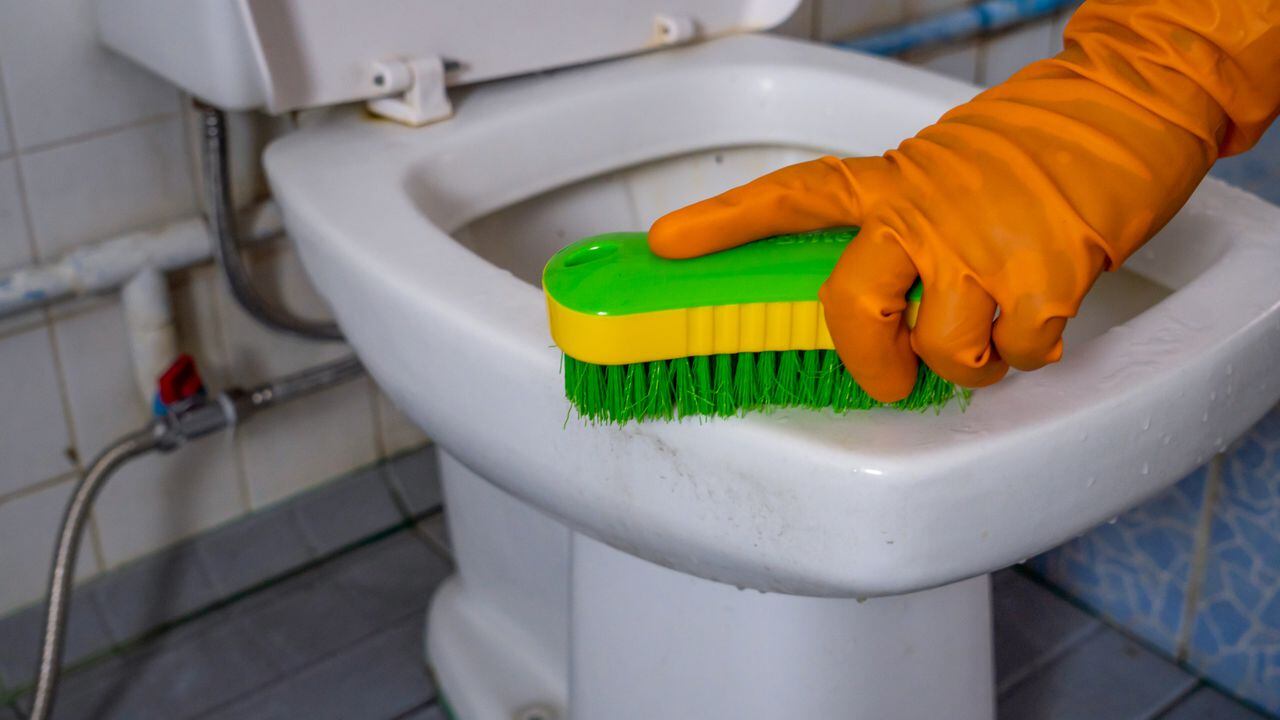 Guía: ¿cómo limpiar un WC químico?