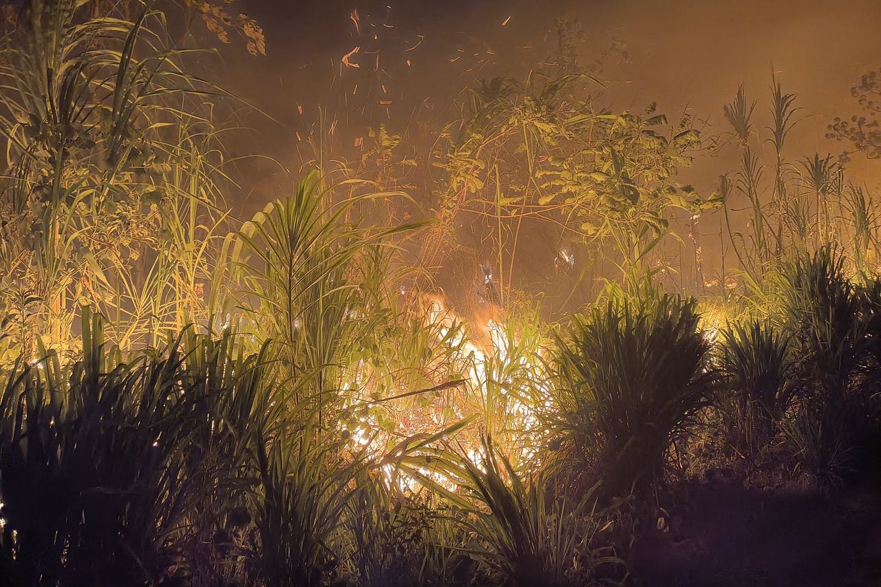 Las llamas envuelven arbustos tras incendios que se salieron de control durante la quema de bosques y pastos con fines agrícolas