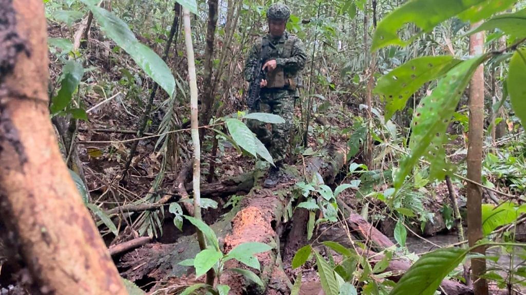 Niños desaparecidos en la selva: familiares dicen que un duende no