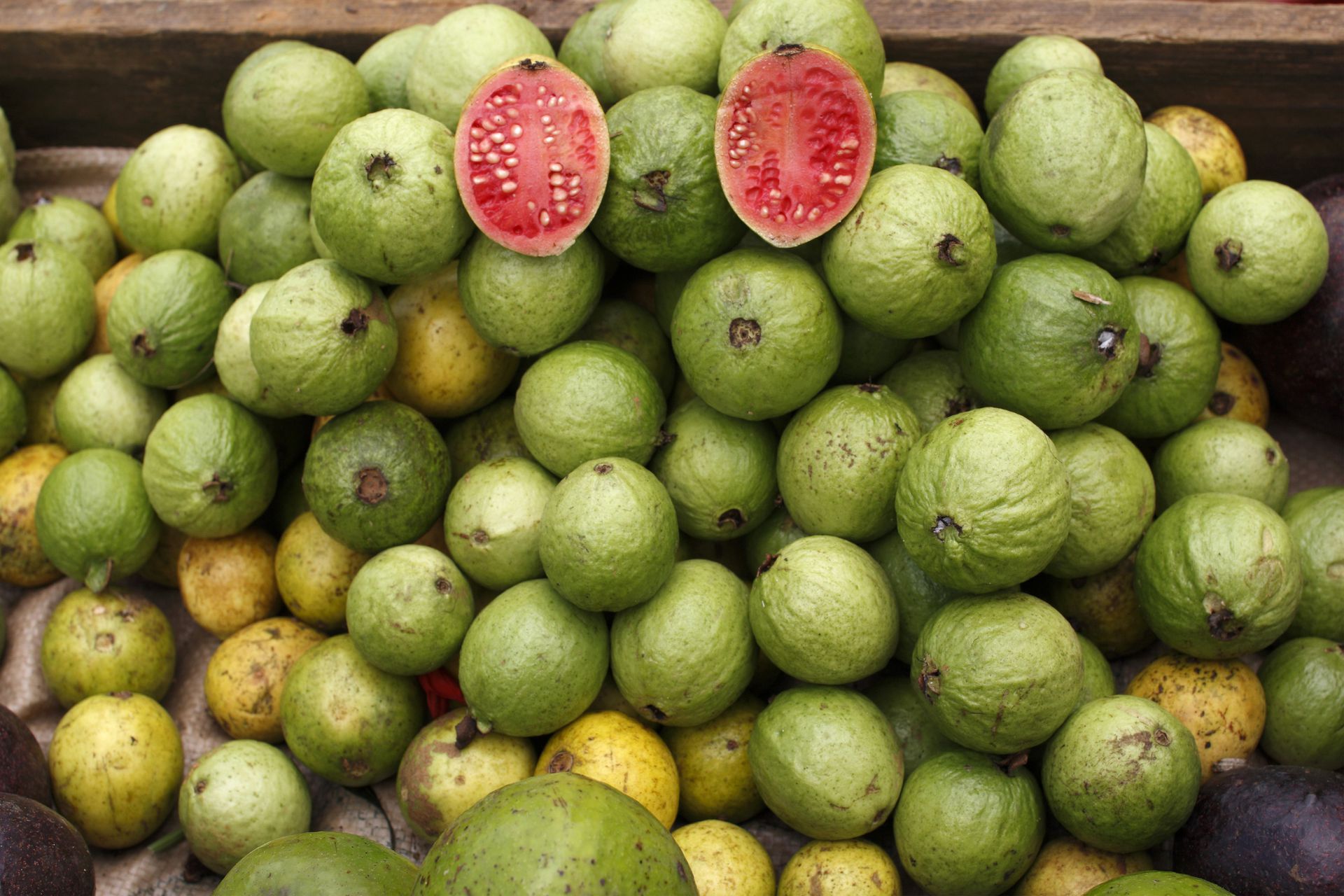 Fruta de guayaba blanca liofilizada 100% pura (0.7 onzas) | Snack saludable  listo para comer | Suplemento previo al entrenamiento y después del