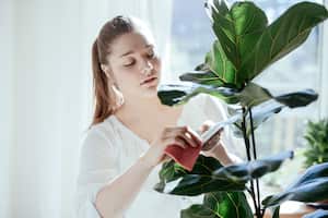 Familiarícese con los 5 errores más comunes al regar las plantas que tiene en casa.