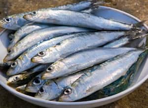 Sardinas: Como todos los “pescados azules”, son una excelente fuente de ácidos grasos omega-3. Pero además, contienen otros ácidos: los omega-6, que previenen distintas enfermedades. Sin embargo, su consumo excesivo podría aumentar la propensión a la depresión. 