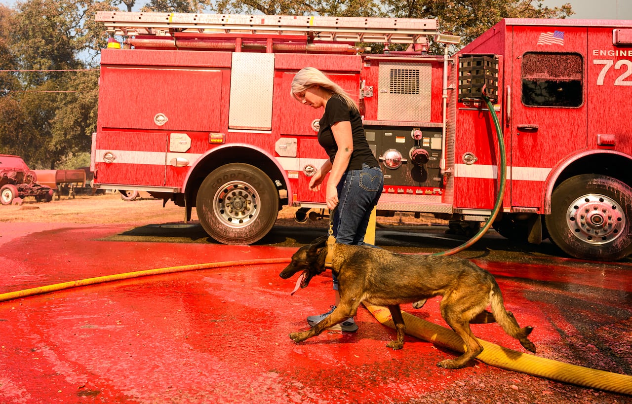 Cindy Miller evacua con su perro mientras las llamas del incendio de Grubbs se acercan a su casa en Oroville, California, el 3 de julio de 2024.
