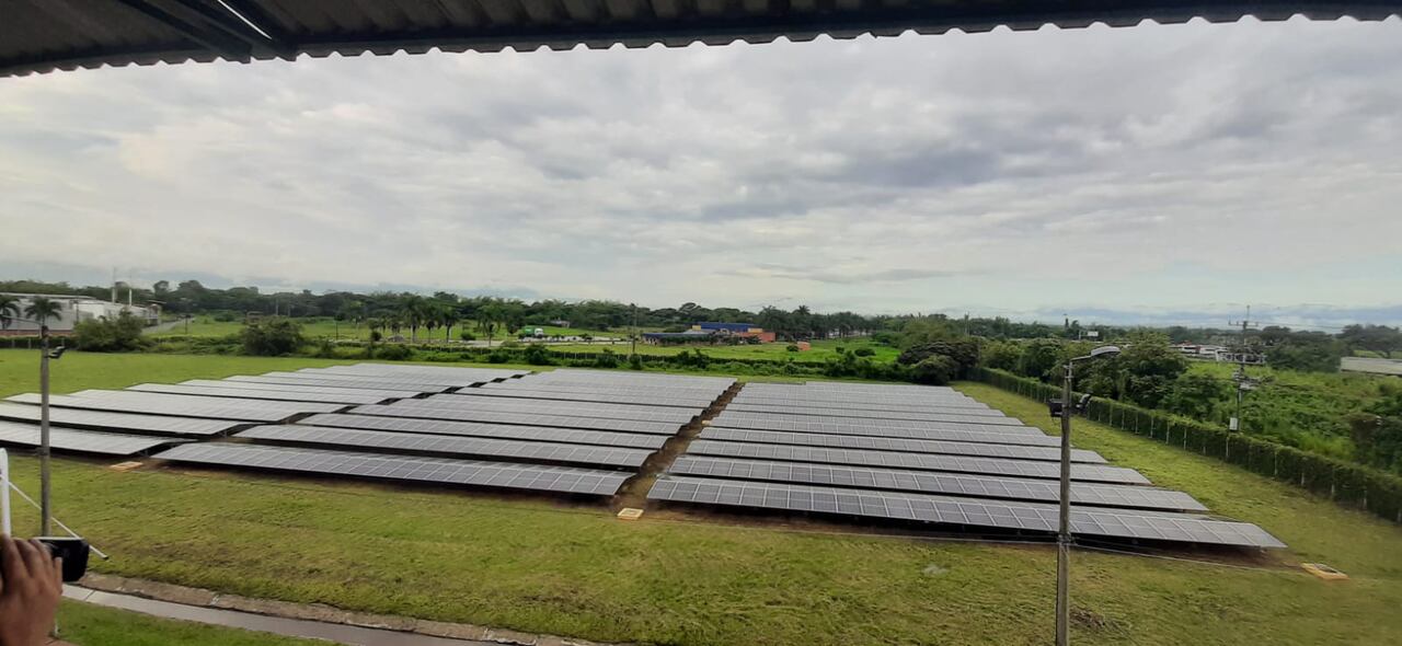 La granja solar de Harinera del Valle ubicada en Villa Rica, Cauca tiene más de mil páneles solares.

Foto: Gases de Occidente