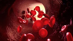 La OMS, explica que "la hemoglobina es una proteína necesaria para transportar oxígeno".