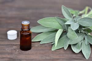 Salvia officinalis herb and sage essential oil in a bottle on a wooden table.