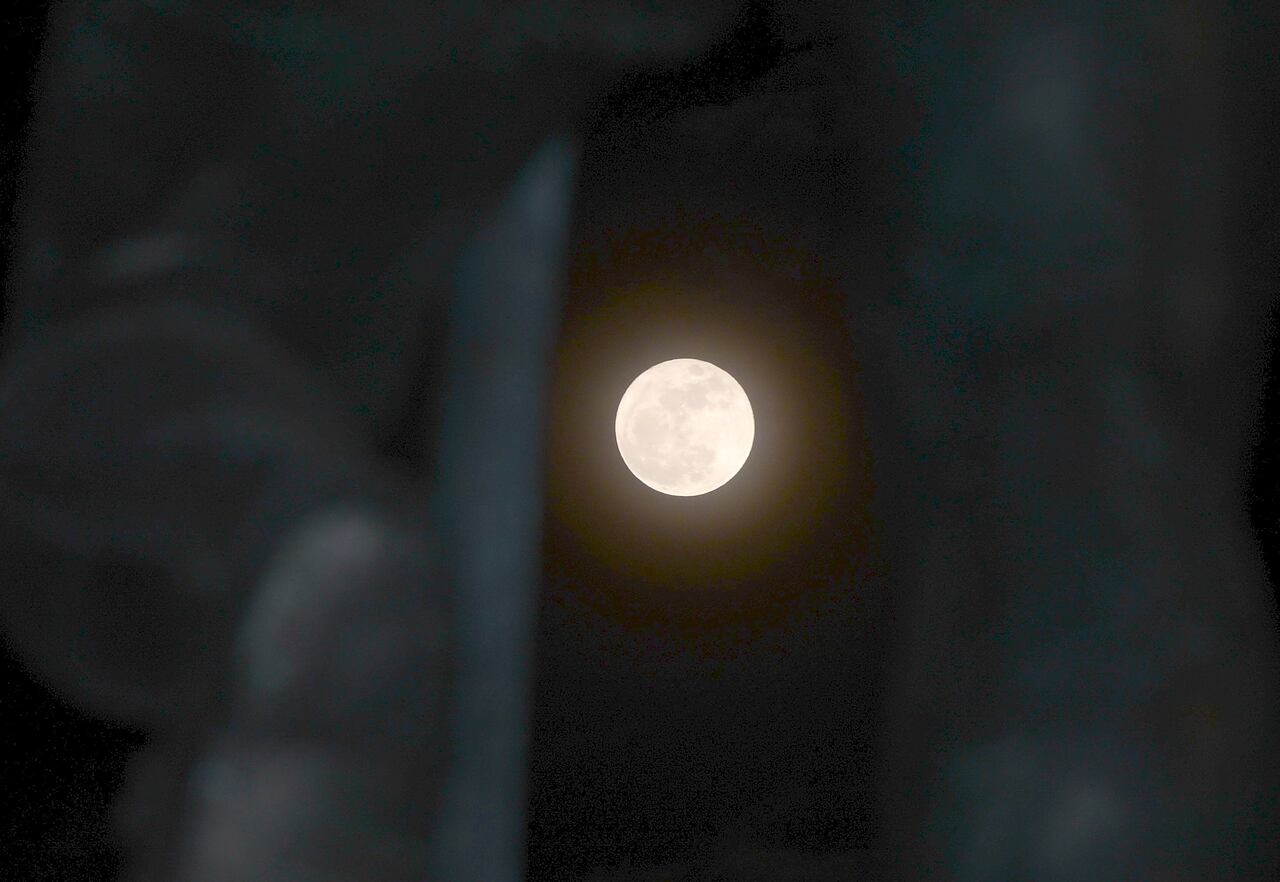Cali: Súper luna martes 1 de agosto del 2023.foto José L Guzmán