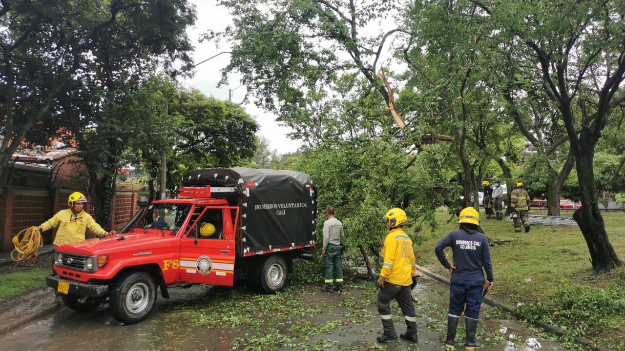 El Cuerpo de Bomberos de Cali se encuentra en la avenida 4 norte del barrio La Flora para remover varios árboles caídos tras los fuertes aguaceros este 22 de mayo de 2024.