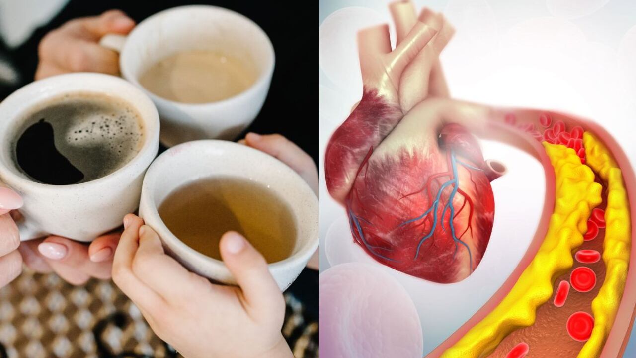 El té que reduce los triglicéridos y el colesterol.