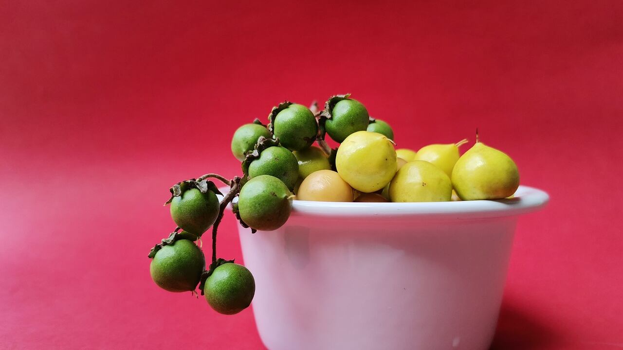 El nanche es una fruta originaria de México que trae varios beneficios