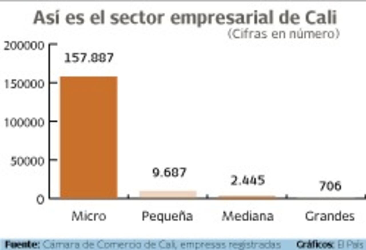 Así está conformado el sector empresarial de Cali

Gráfico: El País   Fuente: Cámara de Comercio de Cali