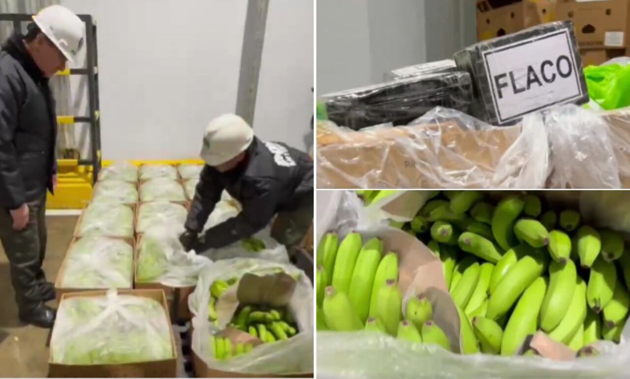 El cargamento de cocaína en los puertos de Cartagena y Santa Marta estaba dentro de cajas de banano.