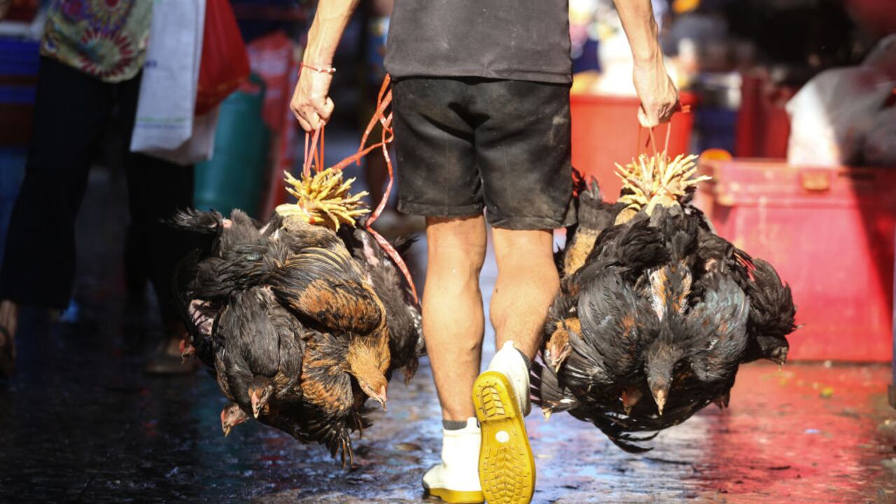 Trabajador visto sosteniendo pollos para un cliente en el mercado Khlong Toei en Bangkok. Foto de Adisorn Chabsungnoen/SOPA Images/LightRocket via Getty Images)