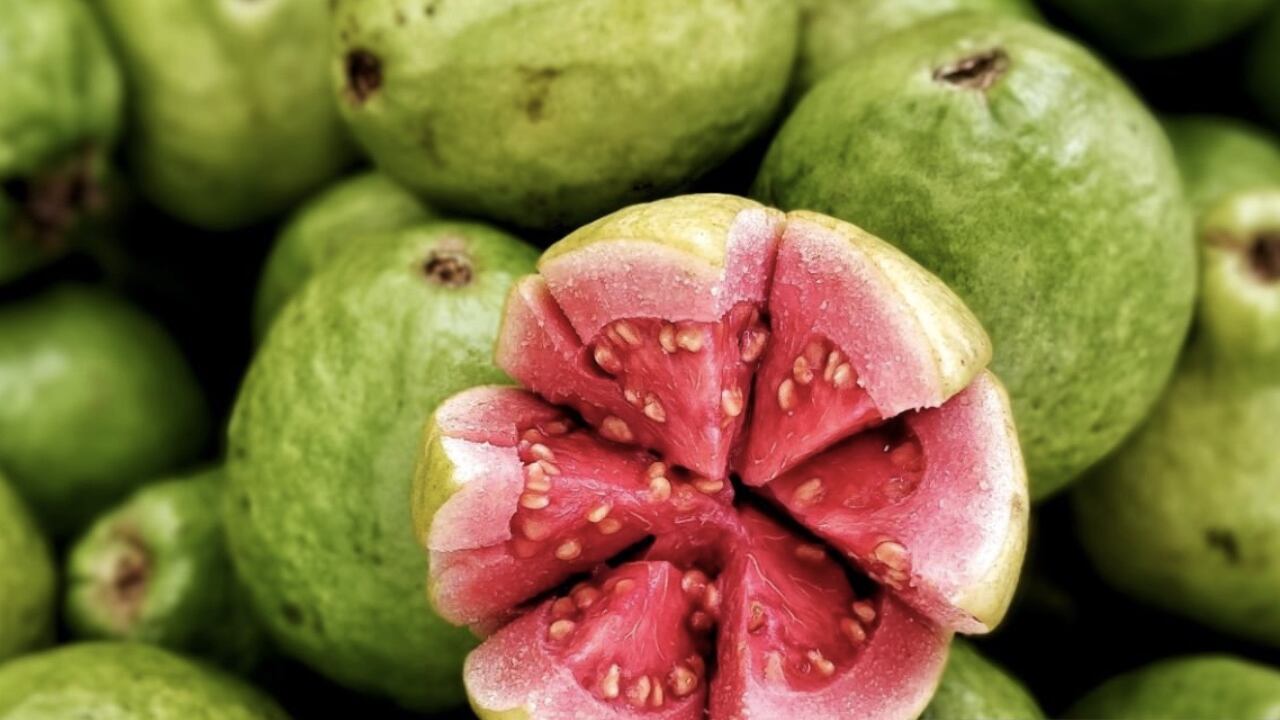 La guayaba es una fruta rica en vitamina C, incluso tiene mucha más que la naranja