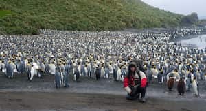Foto tomada en la isla subantártica de Macquarie (con pingüinos rey).