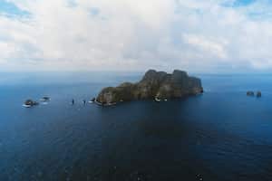Isla Malpelo: Desde 1995 es considerado un santuario de fauna y flora, pues alberga especies como el tiburón ballena, tiburón de galápagos y unas 60 especies de aves.