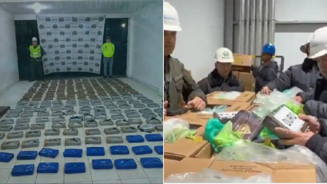 Incautación de Cocaína en los principales puertos del país.
