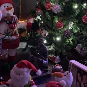Así se ve el árbol de Navidad de la casa que comparte el actor Rafael Novoa con su esposa, la exseñorita Colombia Adriana Tarud, y su hija Alana.