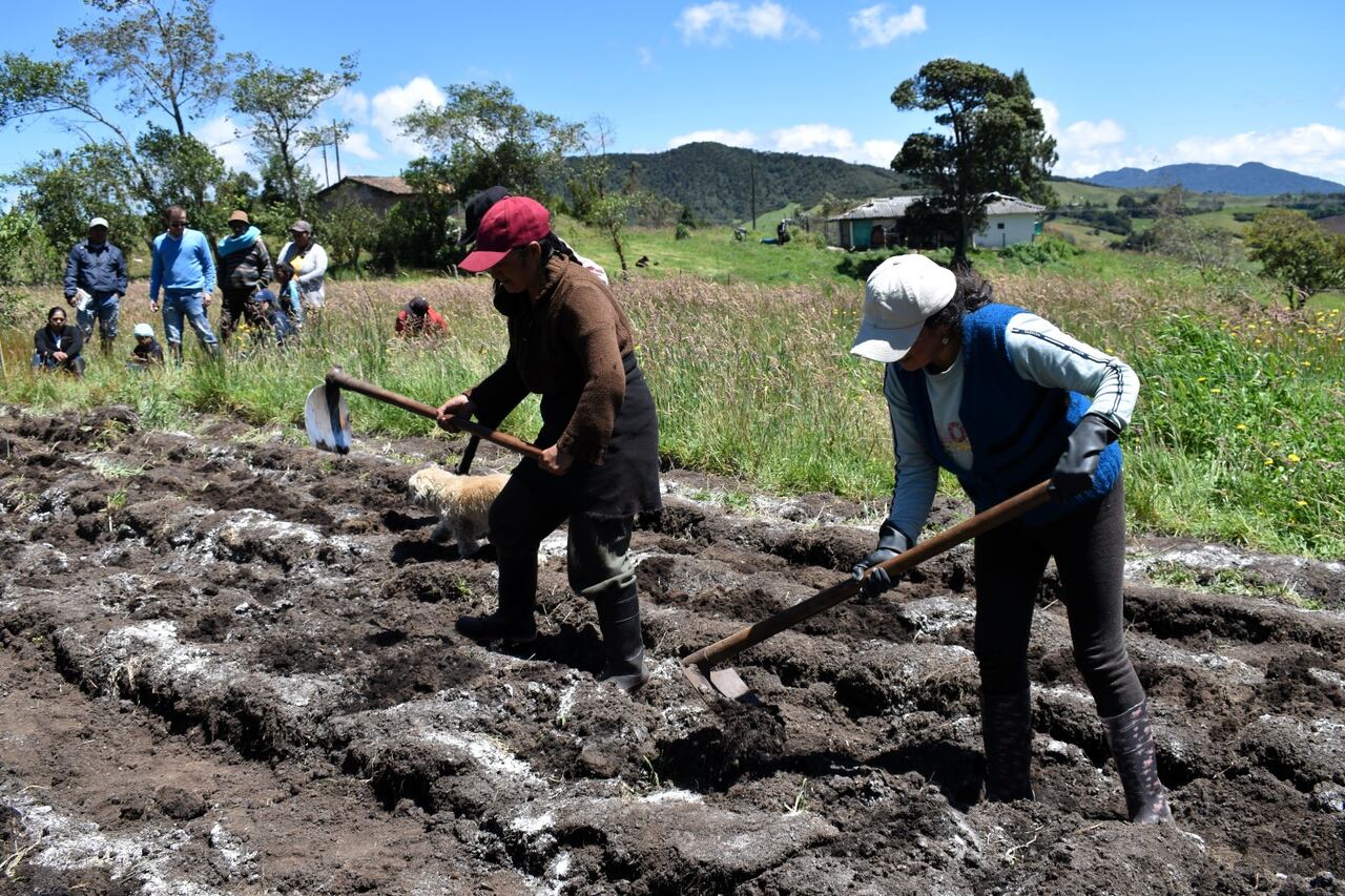 El programa Ella Alimenta al Mundo que inició en Colombia gracias a la alianza entre la ONG CARE, la Fundación PepsiCo y el apoyo del Ministerio de Agricultura, ha impulsado el empoderamiento de mujeres agricultoras a pequeña escala de Nariño.