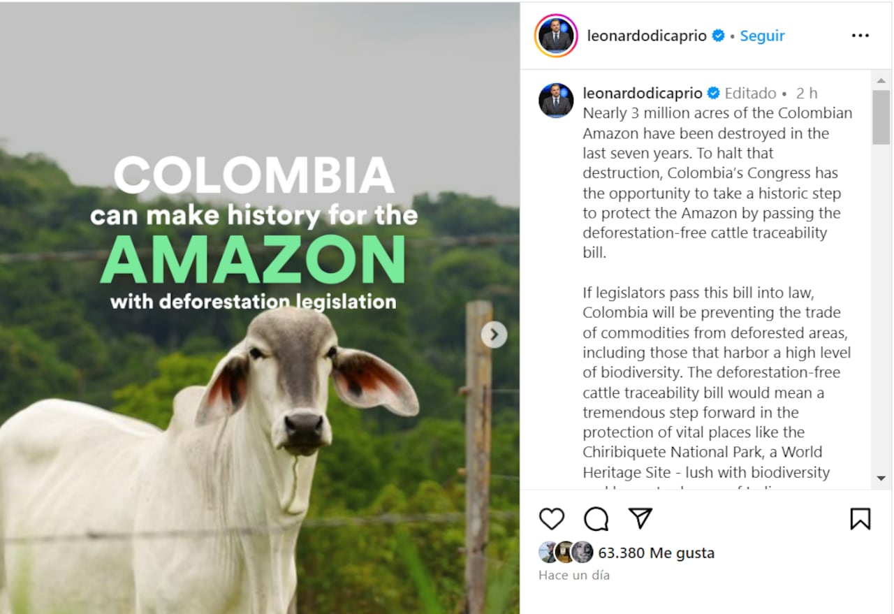 Leonardo DiCaprio apoya iniciativa histórica del Congreso colombiano