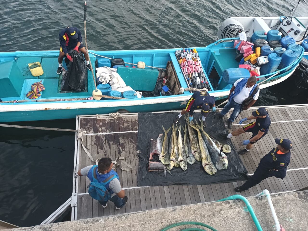 En lo corrido del año, han sido interceptadas siete lanchas con más de seis toneladas de pesca transportadas de forma ilegal en el Pacífico colombiano.