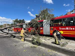 Árbol cayó encima de un bus de TransMilenio
