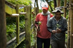 La Mesa Nacional del Café, es una  iniciativa de firmantes del acuerdo de paz que reúne a más de 30 cooperativas de café provenientes de nueve departamentos de Colombia, y  busca implementar distintas acciones que permitan el crecimiento de los proyectos productivos, colectivos e individuales.