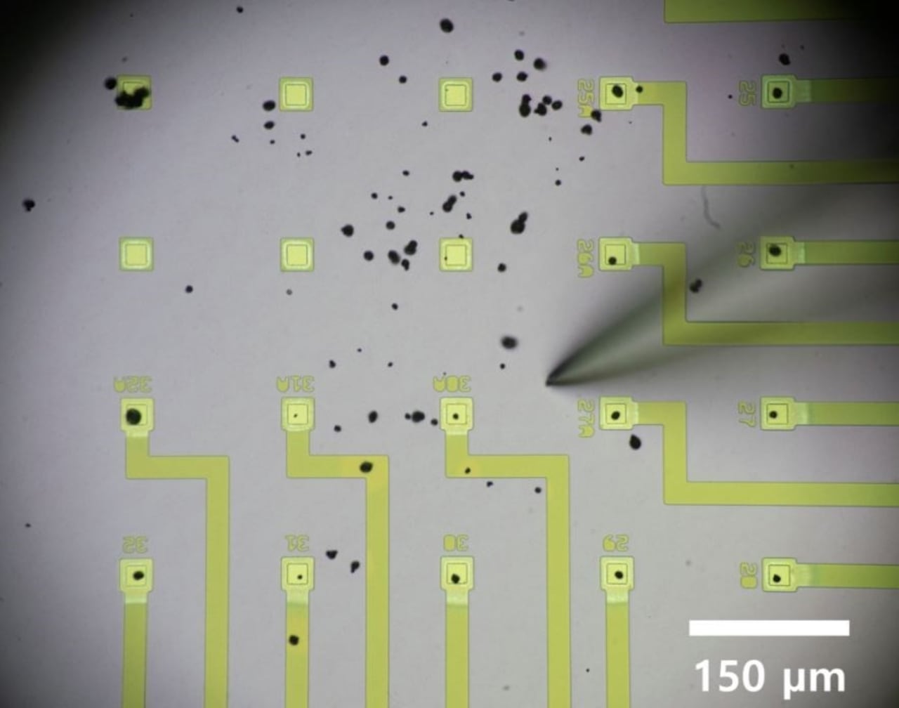 Científicos pueden mover las partículas de la batería (puntos negros) a los microelectrodos (cuadrados amarillo-verde) usando microagujas.