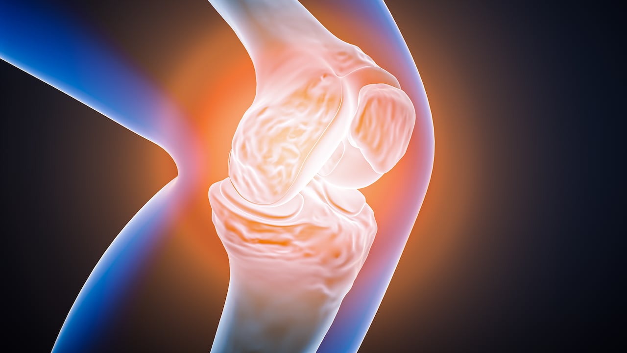 El dolor de rodilla es uno de los más recurrentes no solo en la vejez, sino a lo largo de la vida.