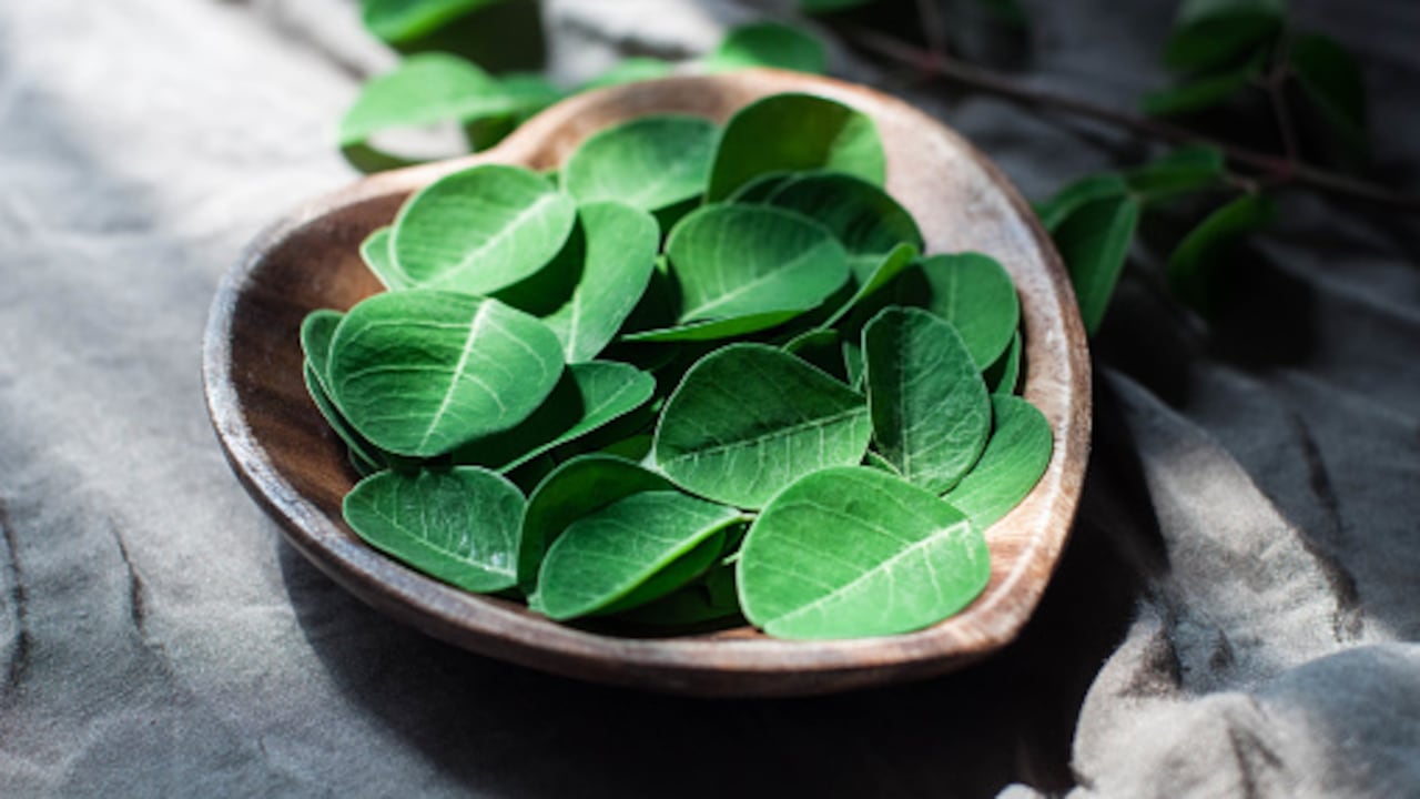 Close-up view of moringa leaves on a heart-shaped bowl