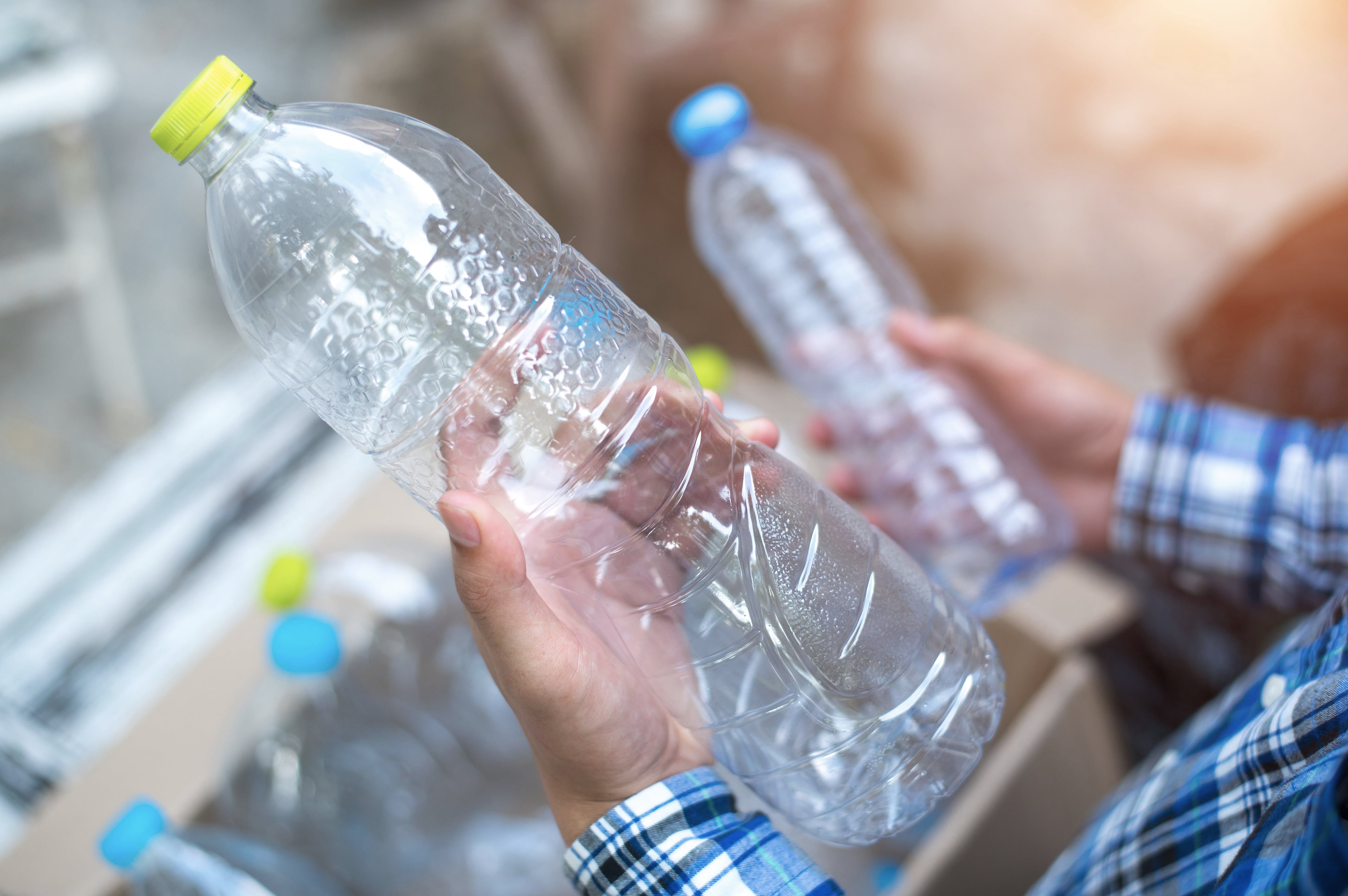 son seguras las botellas de plástico para perros